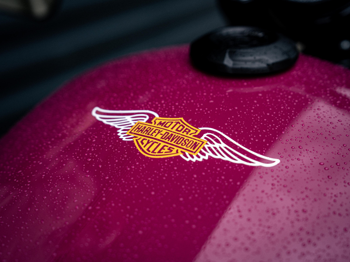 THE NAME- Harley-Davidson logo